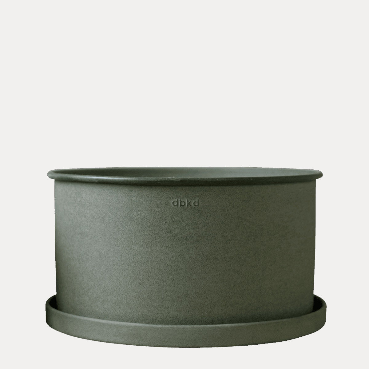 Pflanzschale Plant - grün