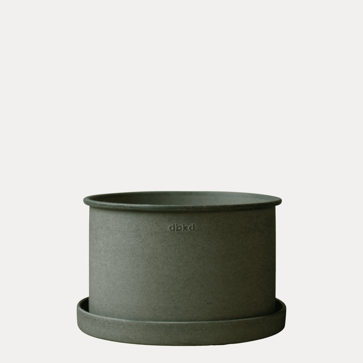 Pflanzschale Plant - grün