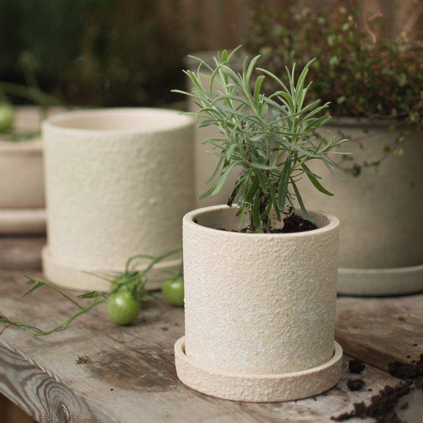 DBKD Outdoor Pflanztopf für Garten und Terrasse in Beige mit Rillen