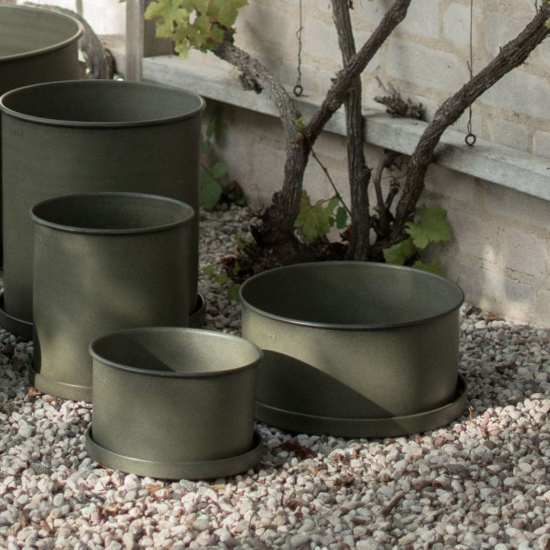 Pflanzschale Plant - grün