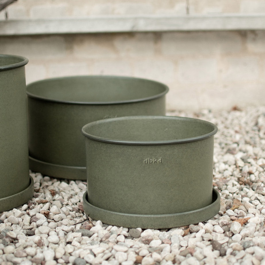 Pflanzschale Plant - grün