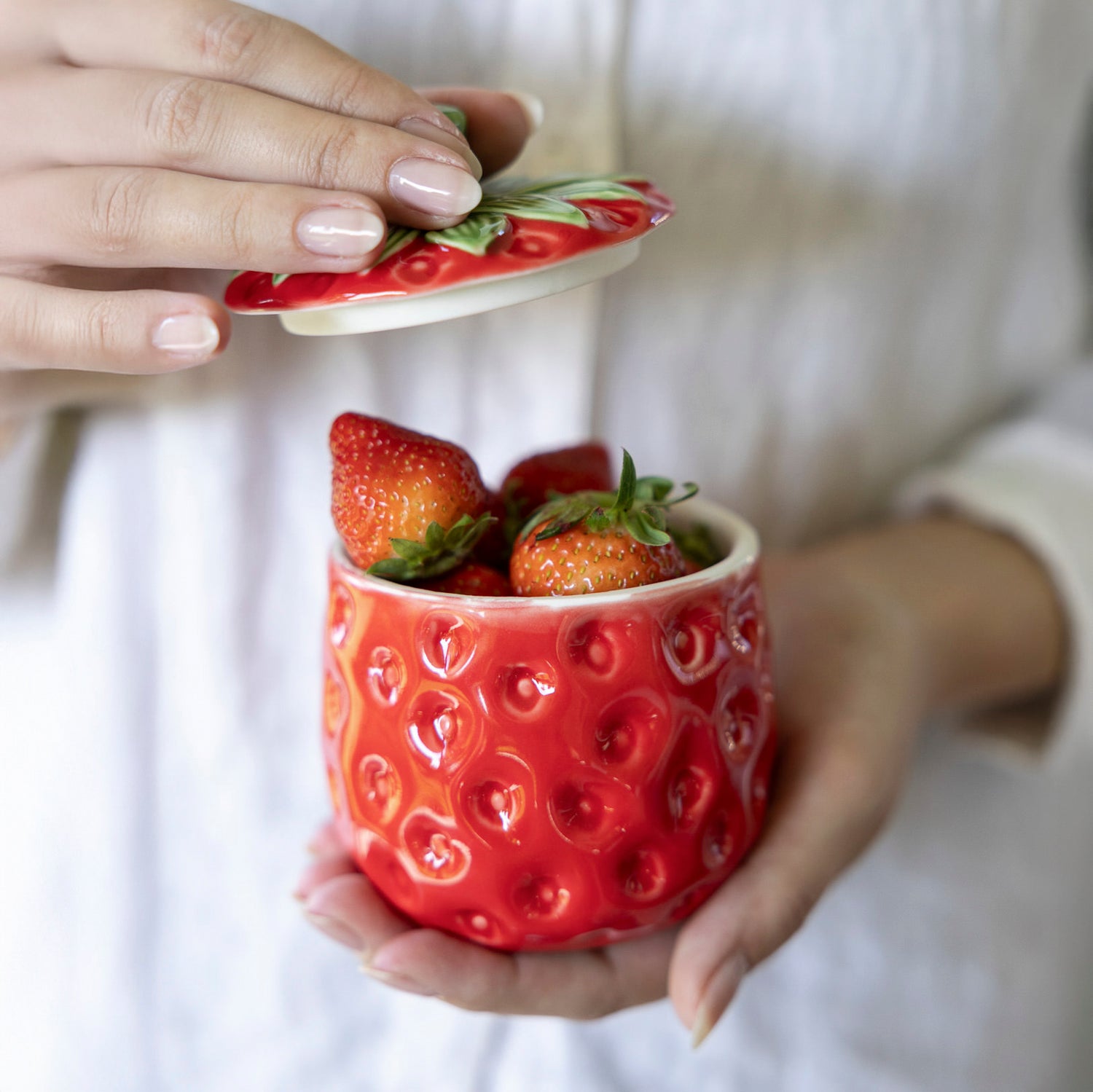 Dose Erdbeere Gardby - rot