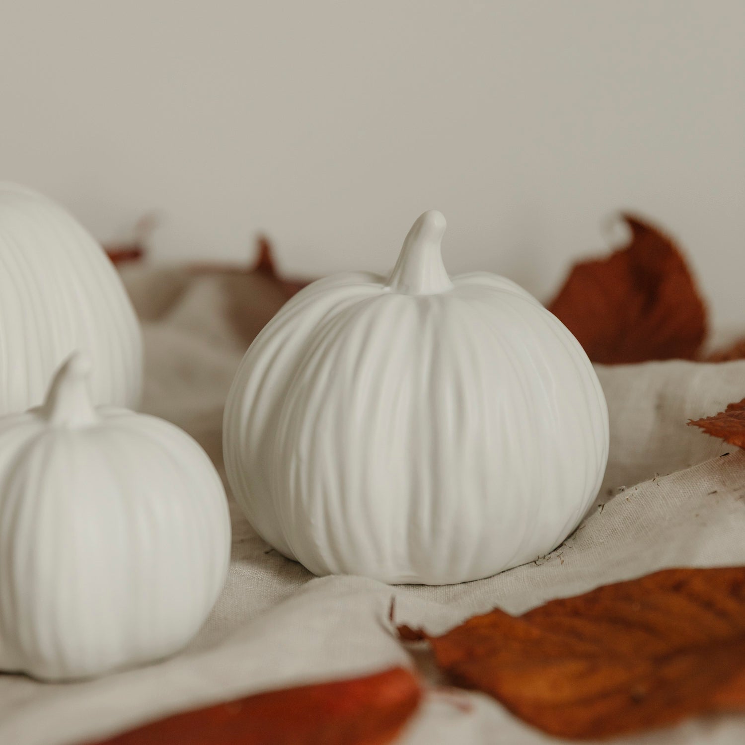 Kürbis Lysvik rund - weiß