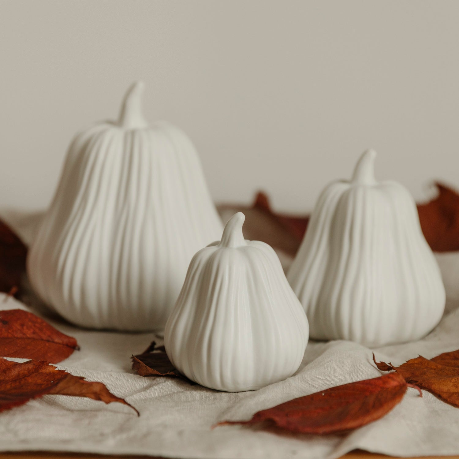 Kürbis Lysvik hoch - weiß