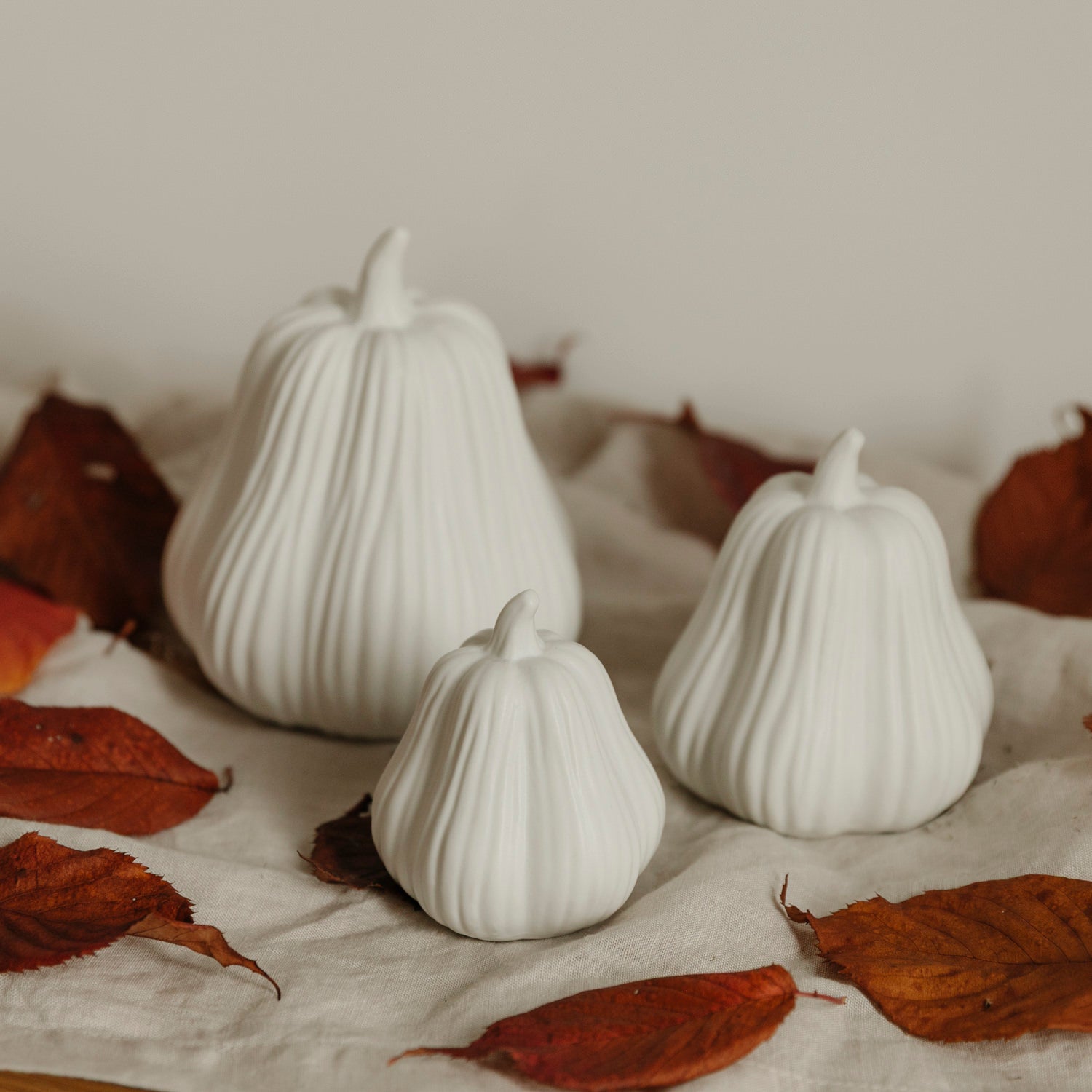 Kürbis Lysvik hoch - weiß