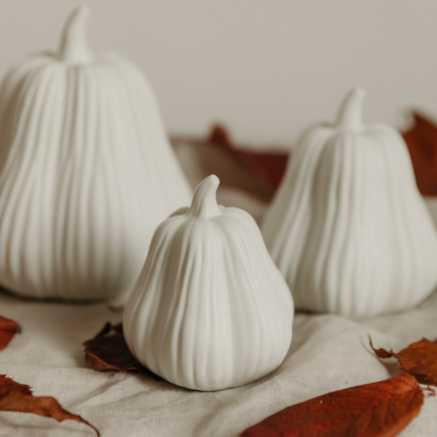 Kürbis Lysvik hoch - weiß