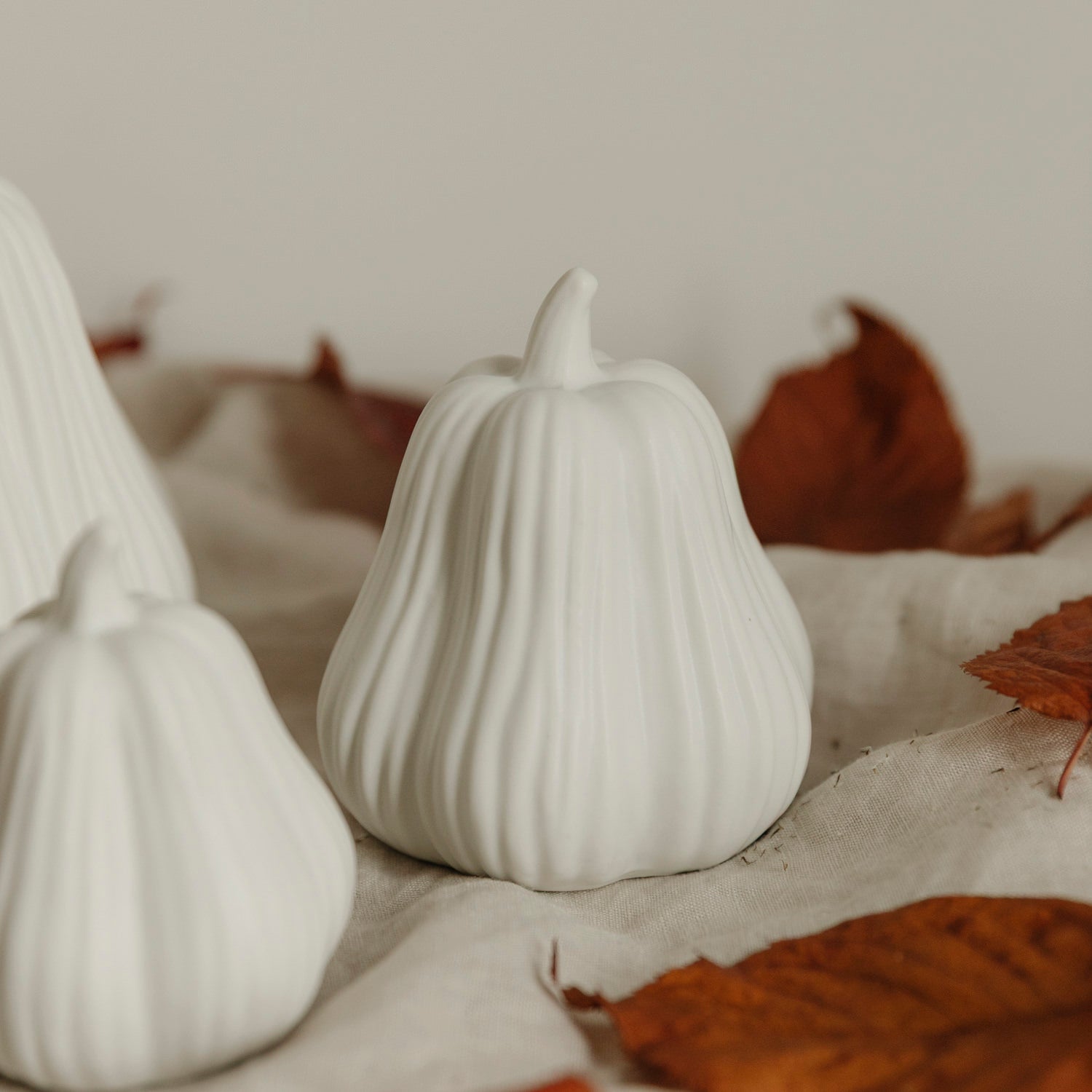 Kürbis Lysvik hoch - weiß