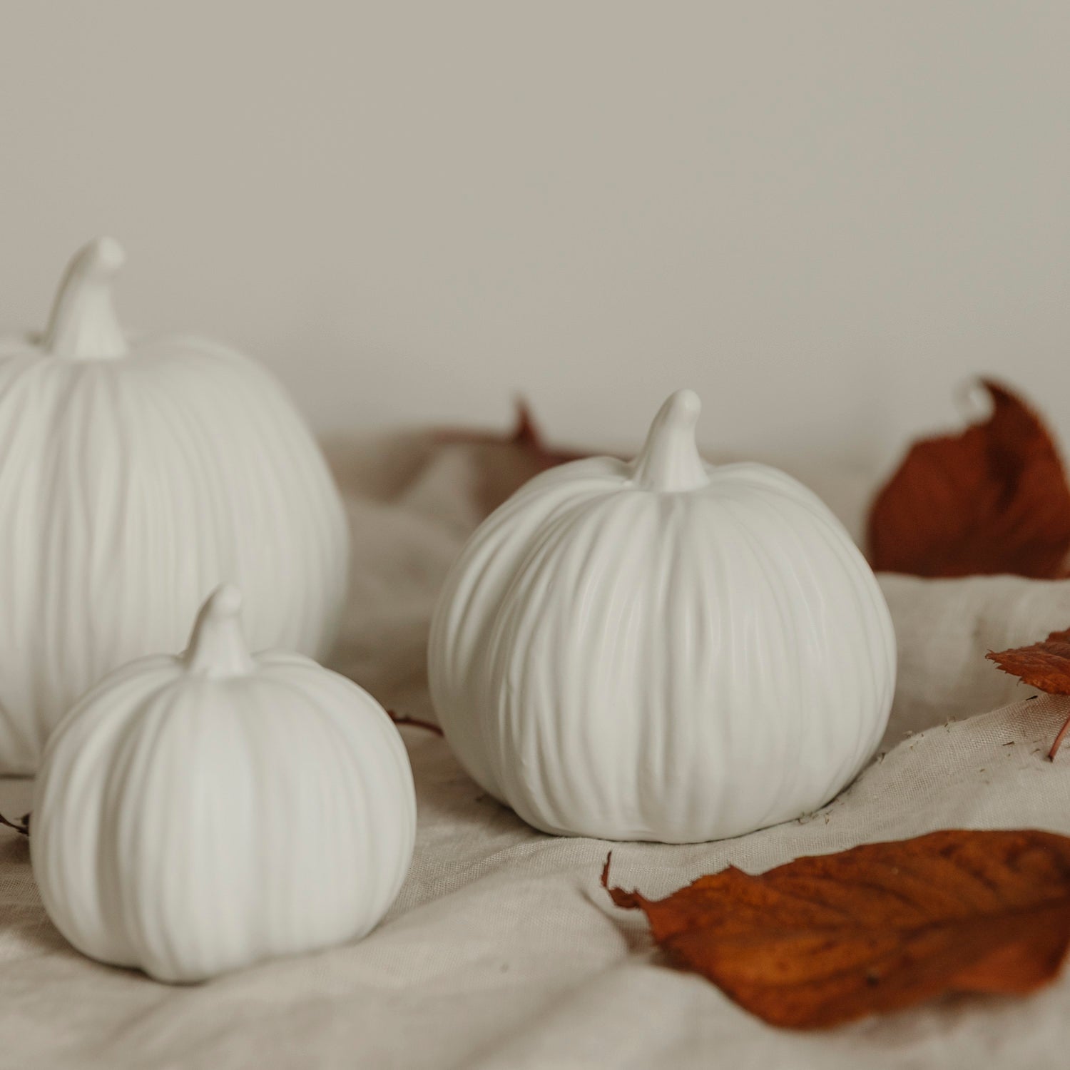 Kürbis Lysvik rund - weiß