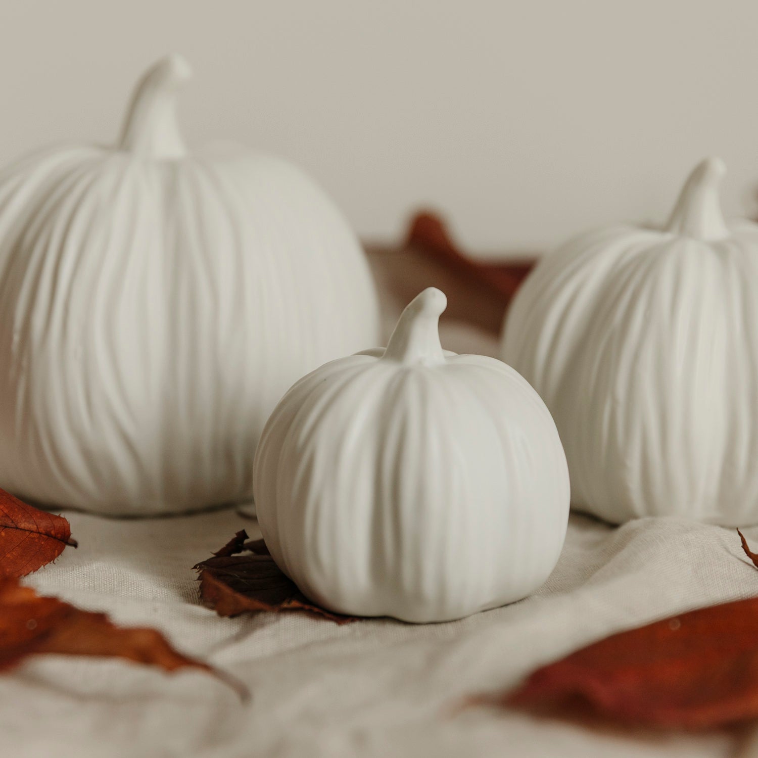 Kürbis Lysvik rund - weiß