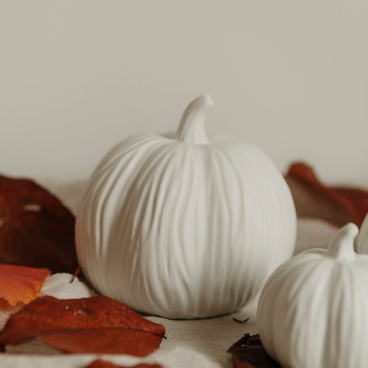 Kürbis Lysvik rund - weiß