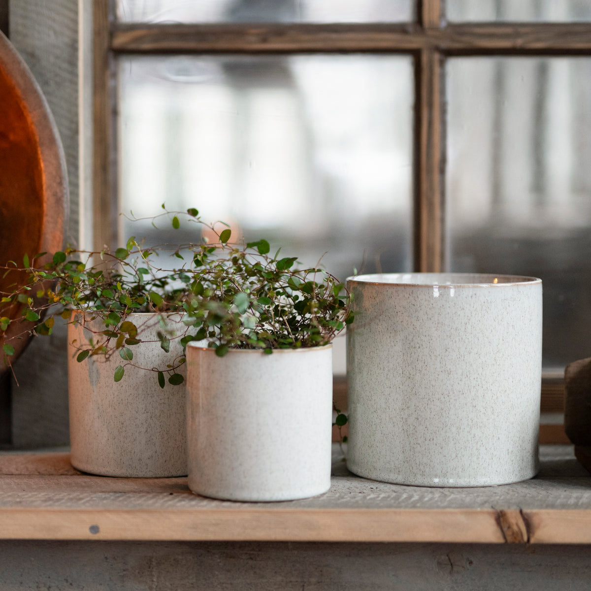 Übertopf im modernen Design für ein gemütliches Zuhause