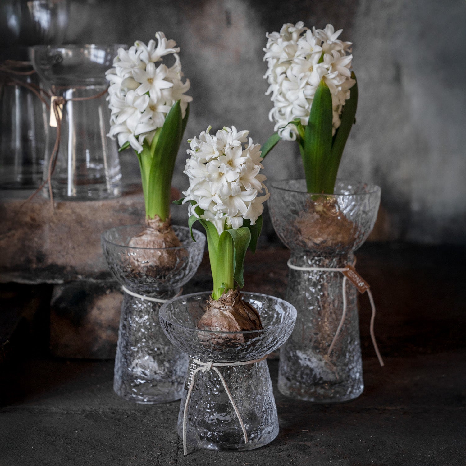 Hyazinthenvase aus Glas - strukturiert