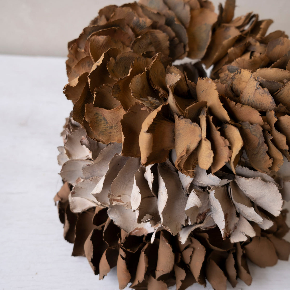Kranz Palm Petal - cocoa
