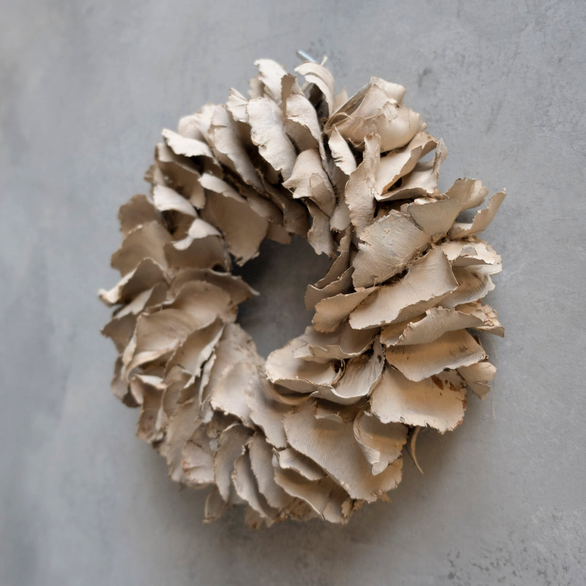 Kranz Palm Petal - coffee cream