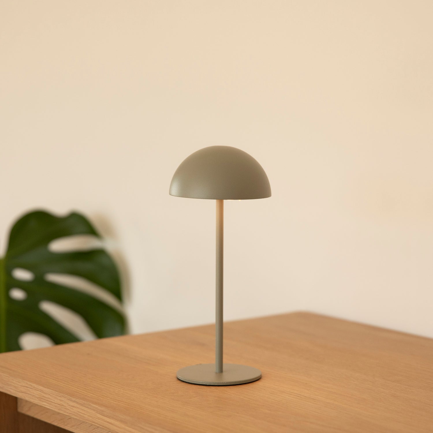 LED Tischlampe rund outdoor - olive