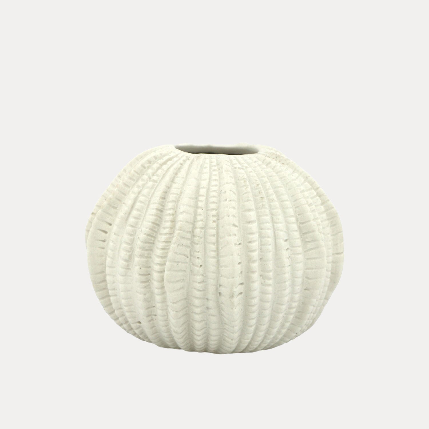 Vase Sea Urchin - weiß