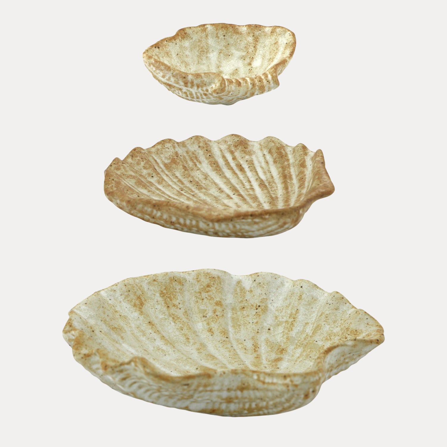 Schalen Shell Cala 3er Set - natur