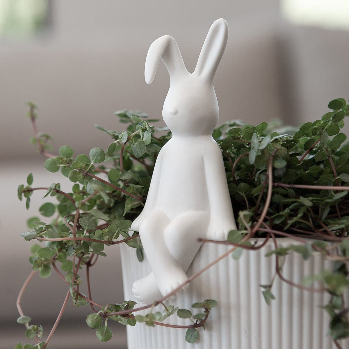 Hase Pelle - weiß