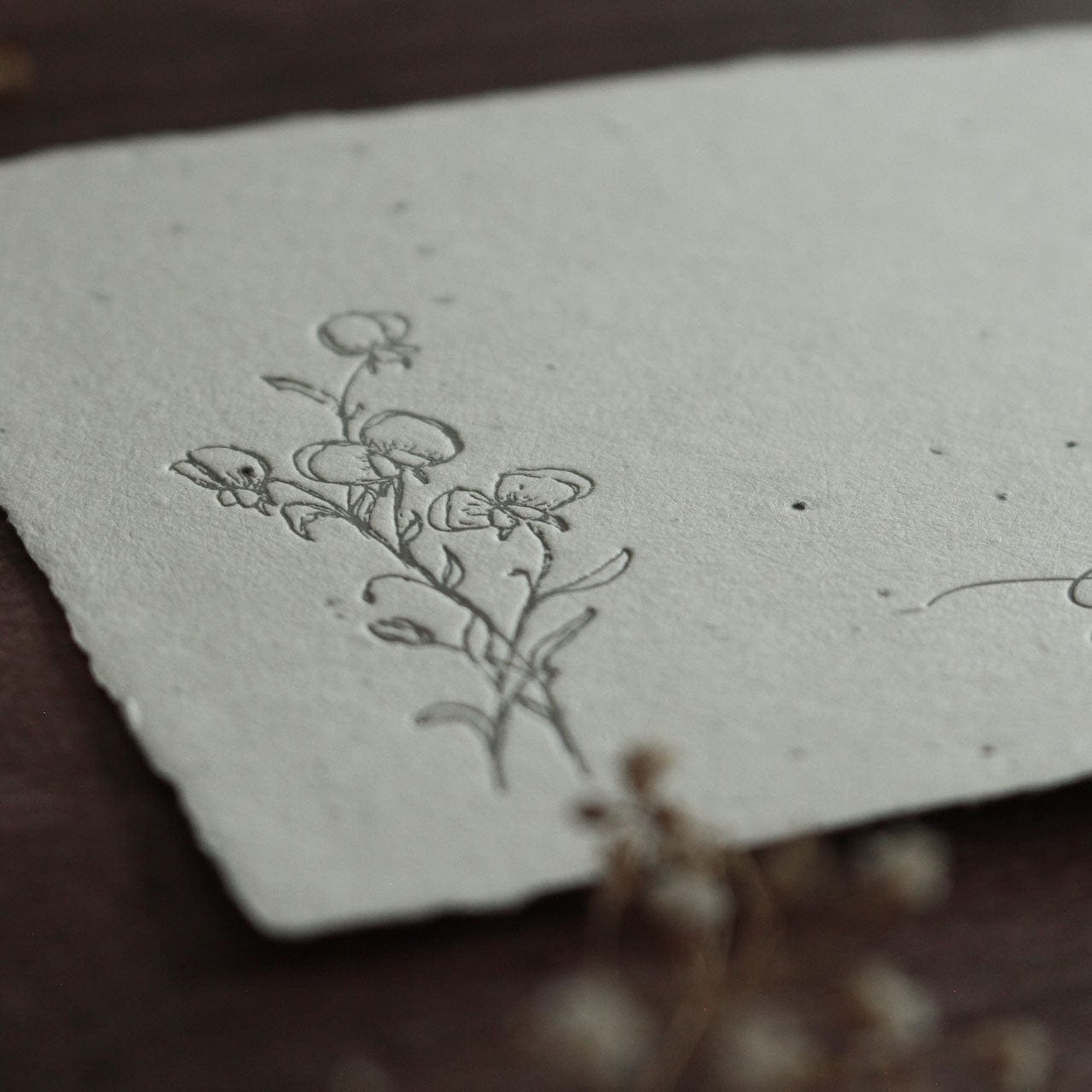 Grußkarte aus Saatpapier grow wild little child