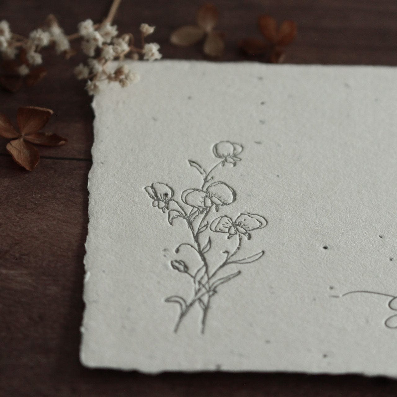 Grußkarte aus Saatpapier grow wild little child