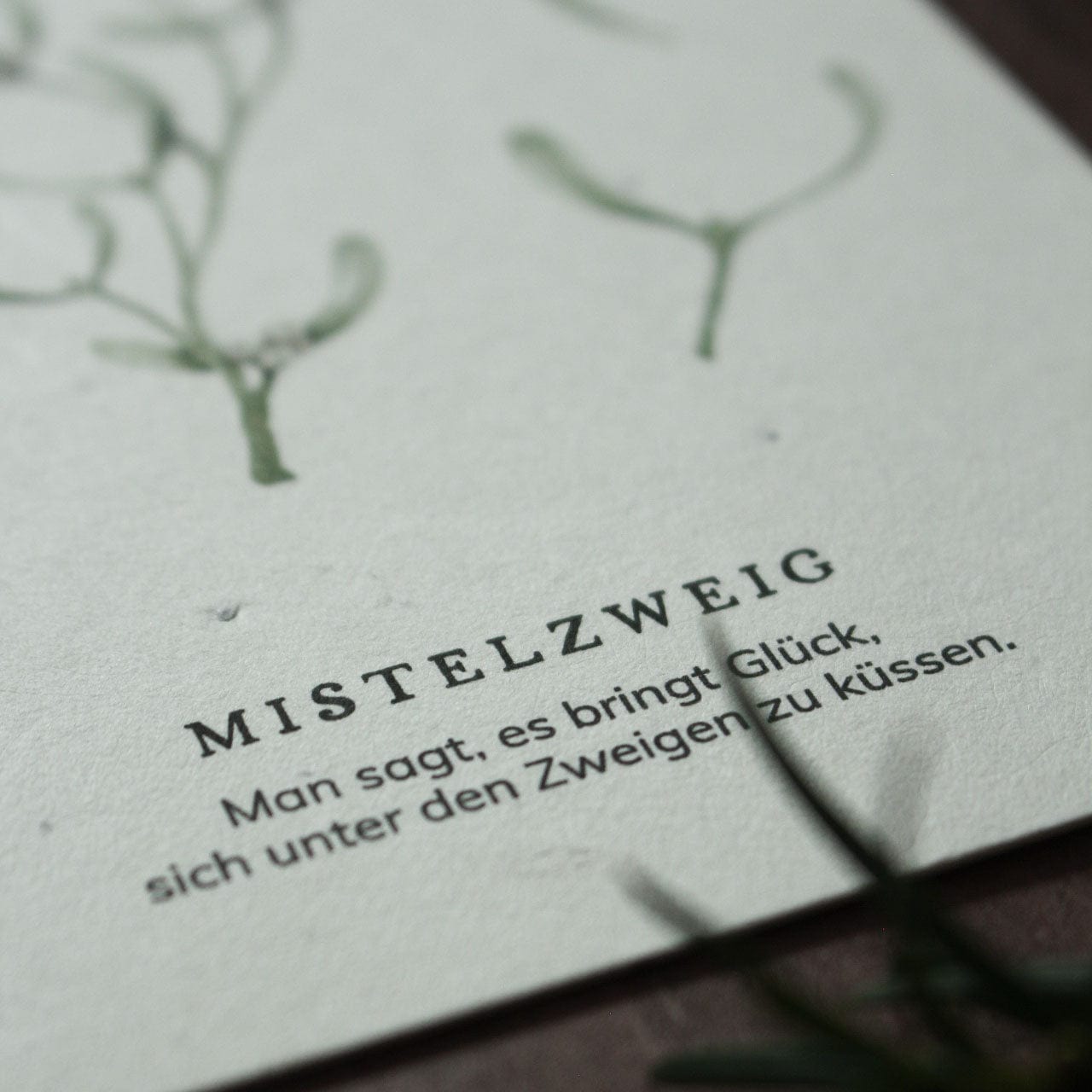Grußkarte aus Saatpapier Mistelzweig
