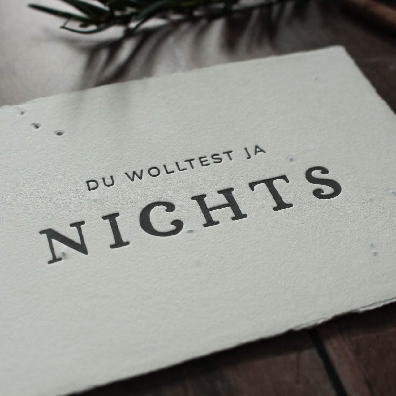 Grußkarte aus Saatpapier Du wollest ja nichts