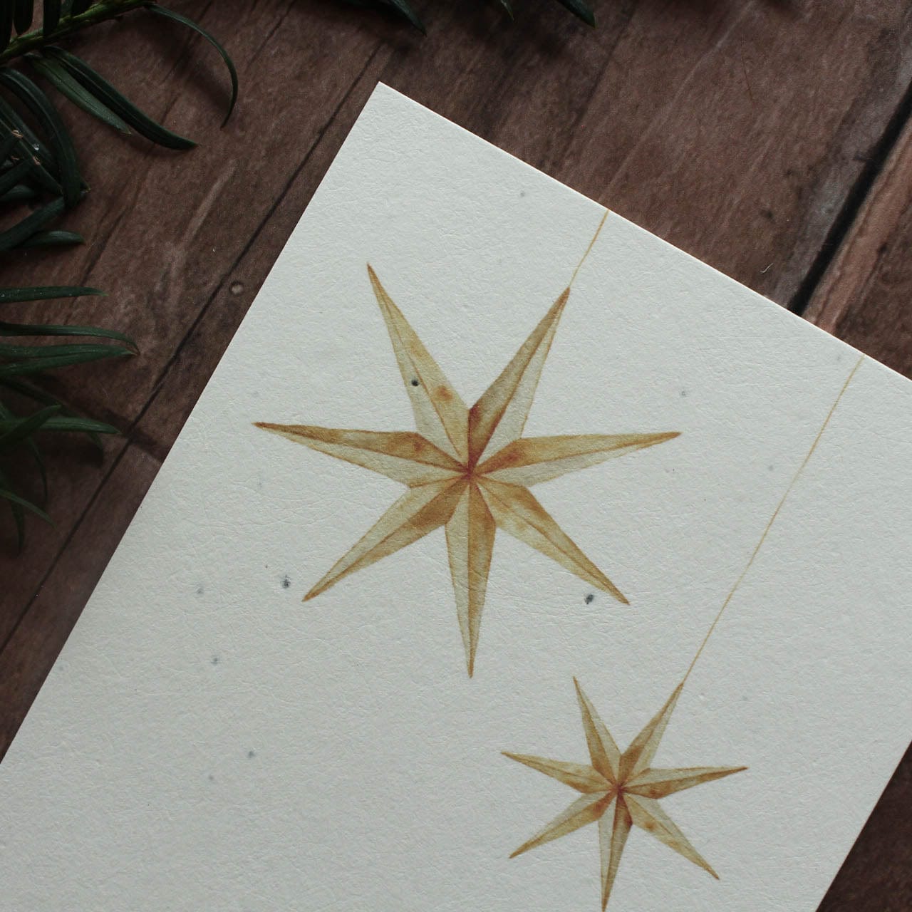 Grußkarte aus Saatpapier Weihnachtsstern