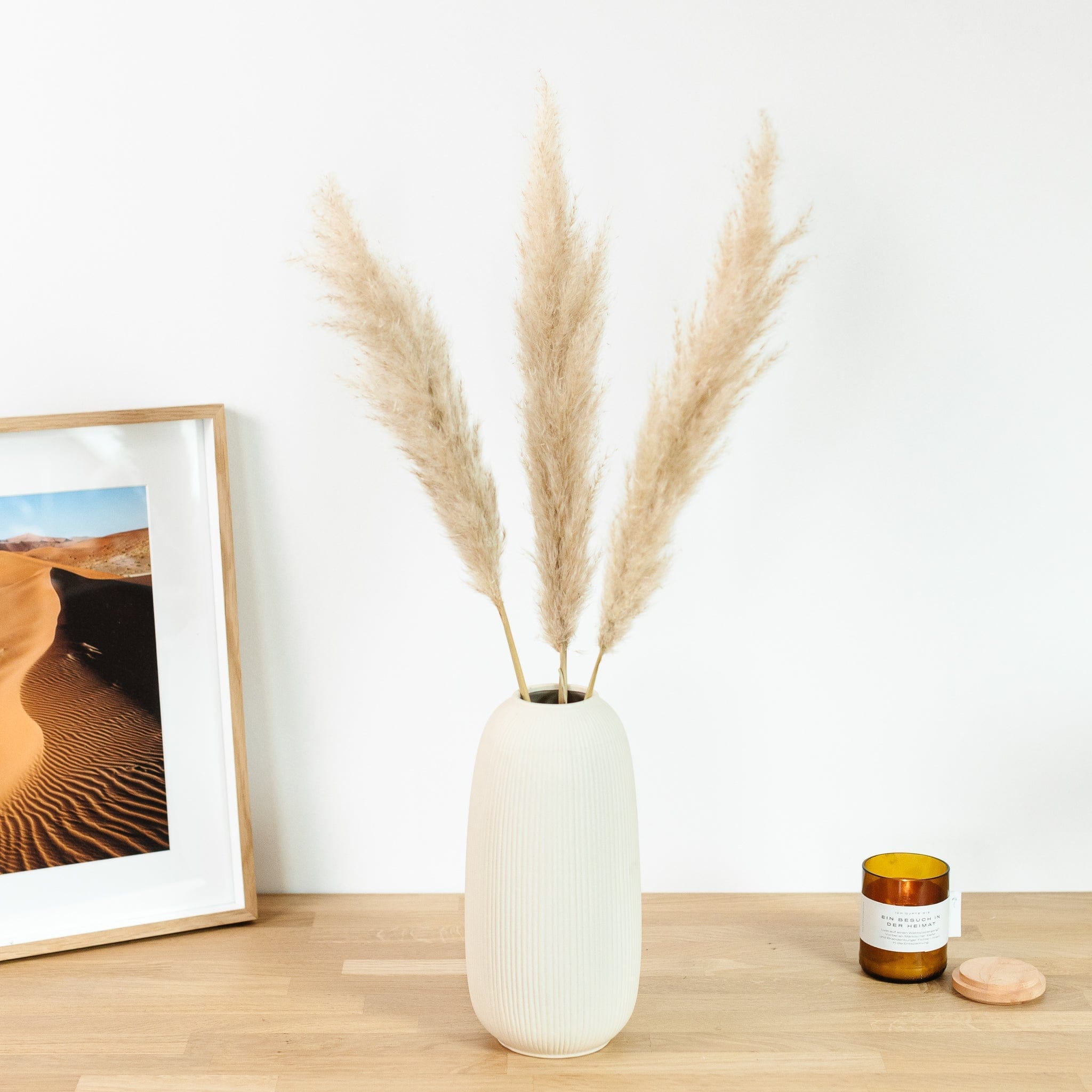 Pampasgras fluffy 70cm