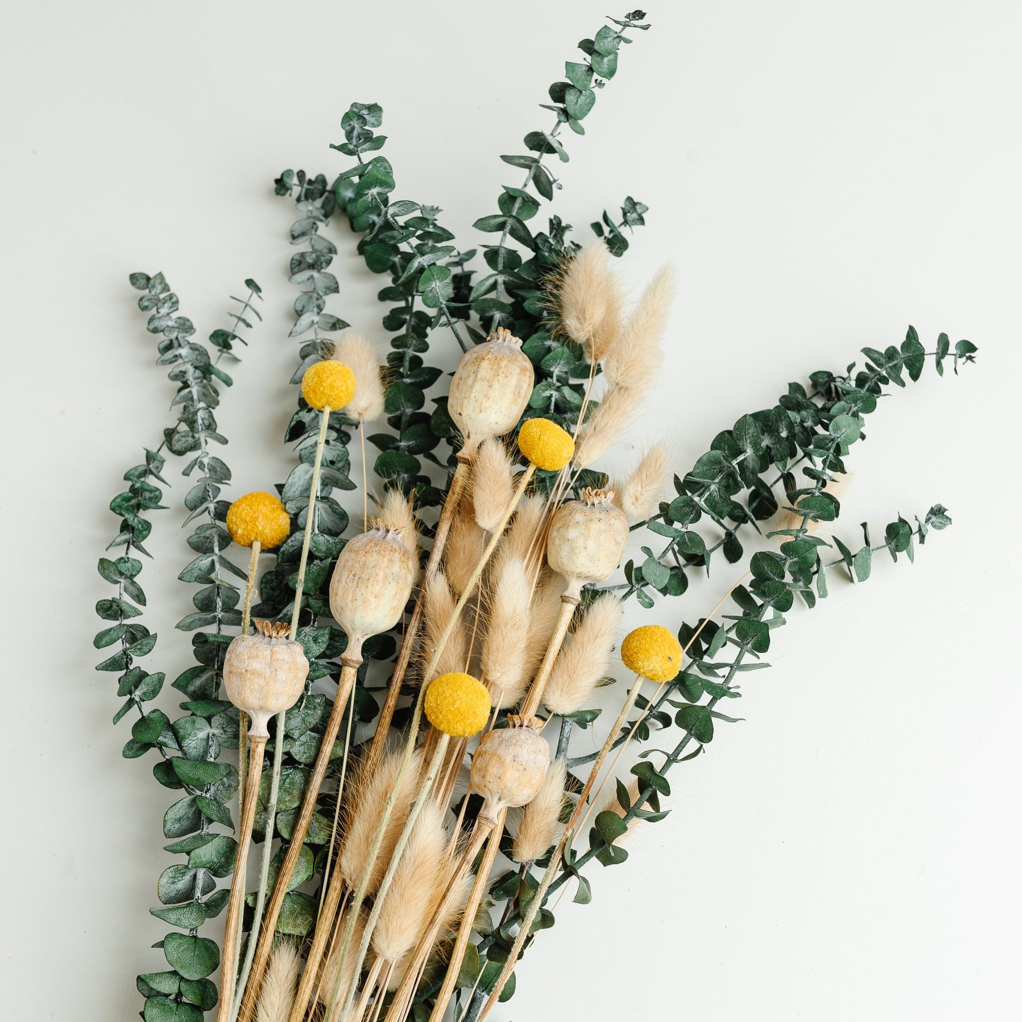Trockenblumen Mix Summer