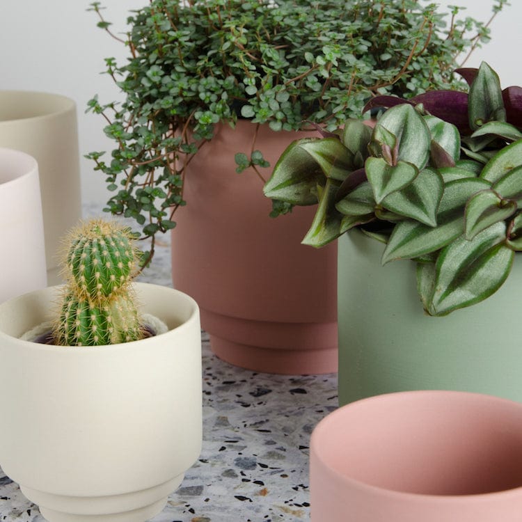 OUTLET Übertopf Nola - terra