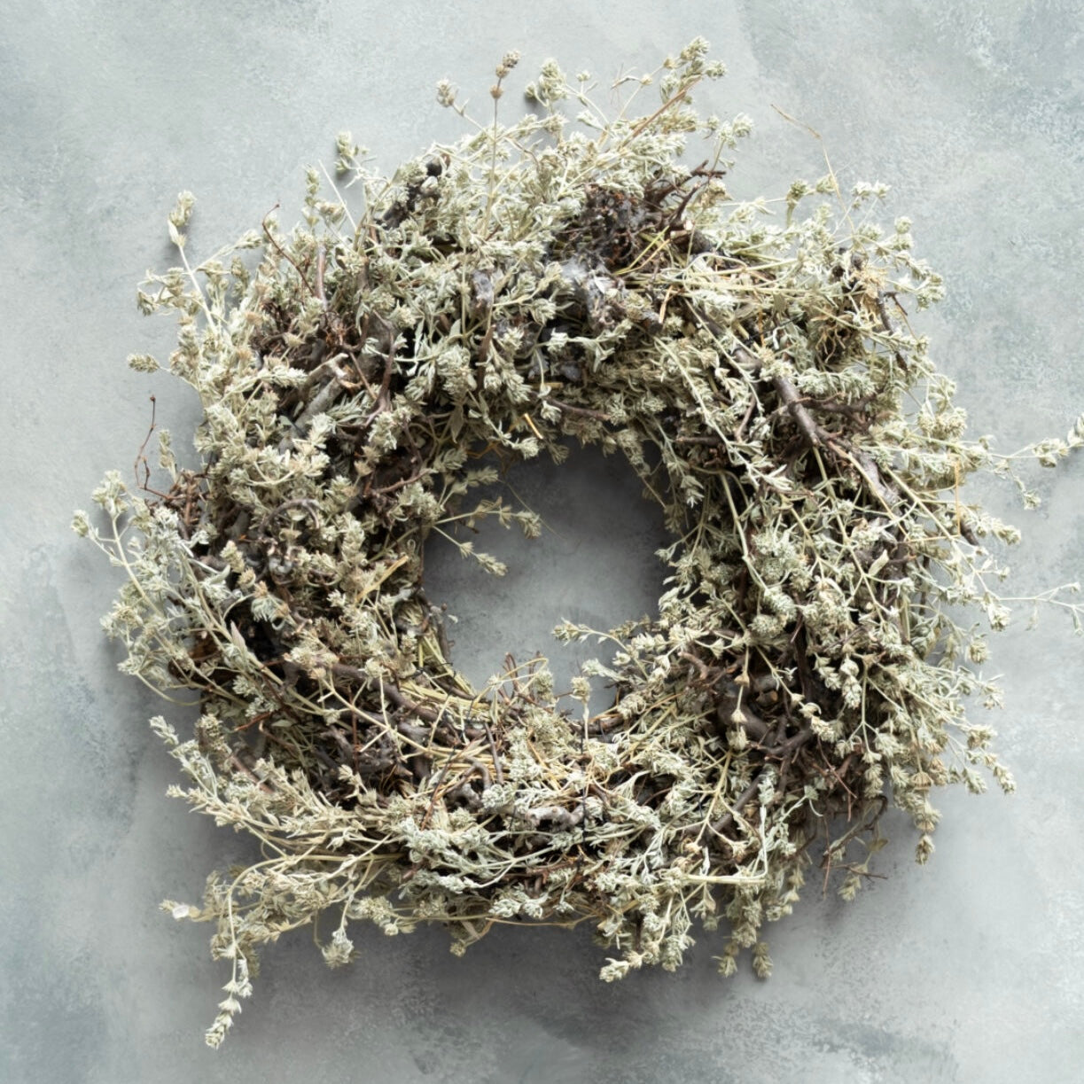 Kranz Bonsai & Wild Lavender