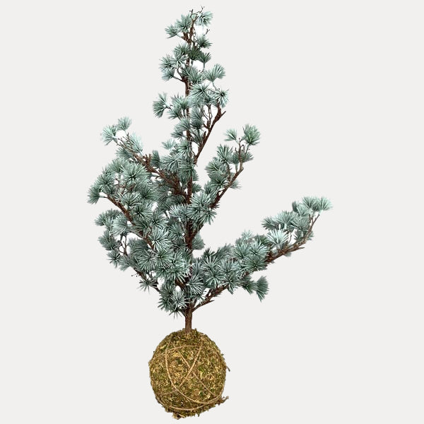 Zedernbaum künstlich