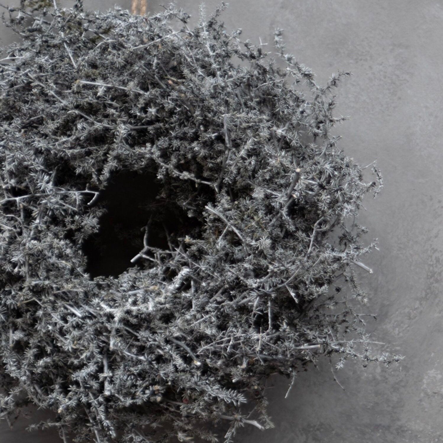 Kranz Asparagus - dunkelgrau