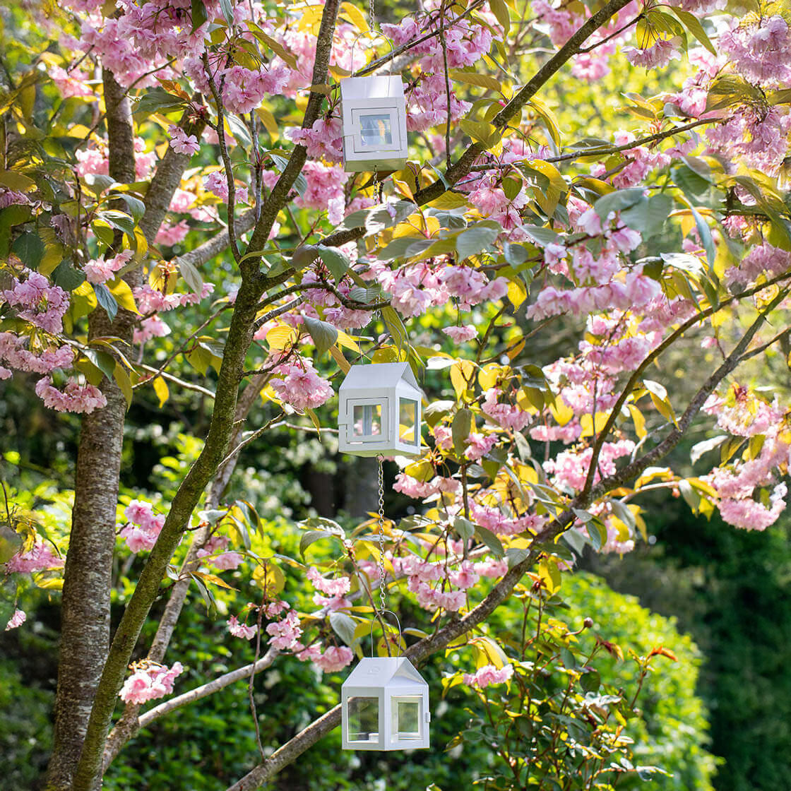 Hängende Laternen 3er Set - weiß