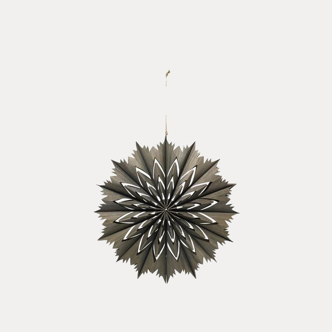 Weihnachtsstern Venja - fungi grey