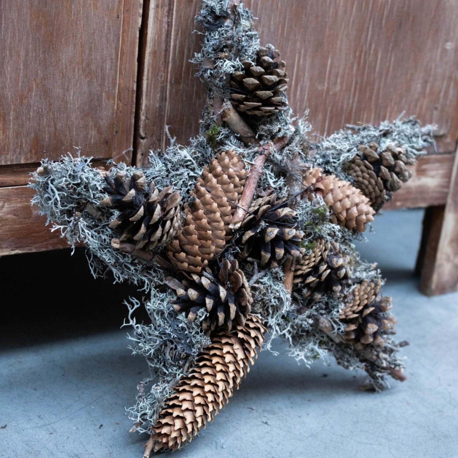 Stern mit Moos & Zapfen - grau braun