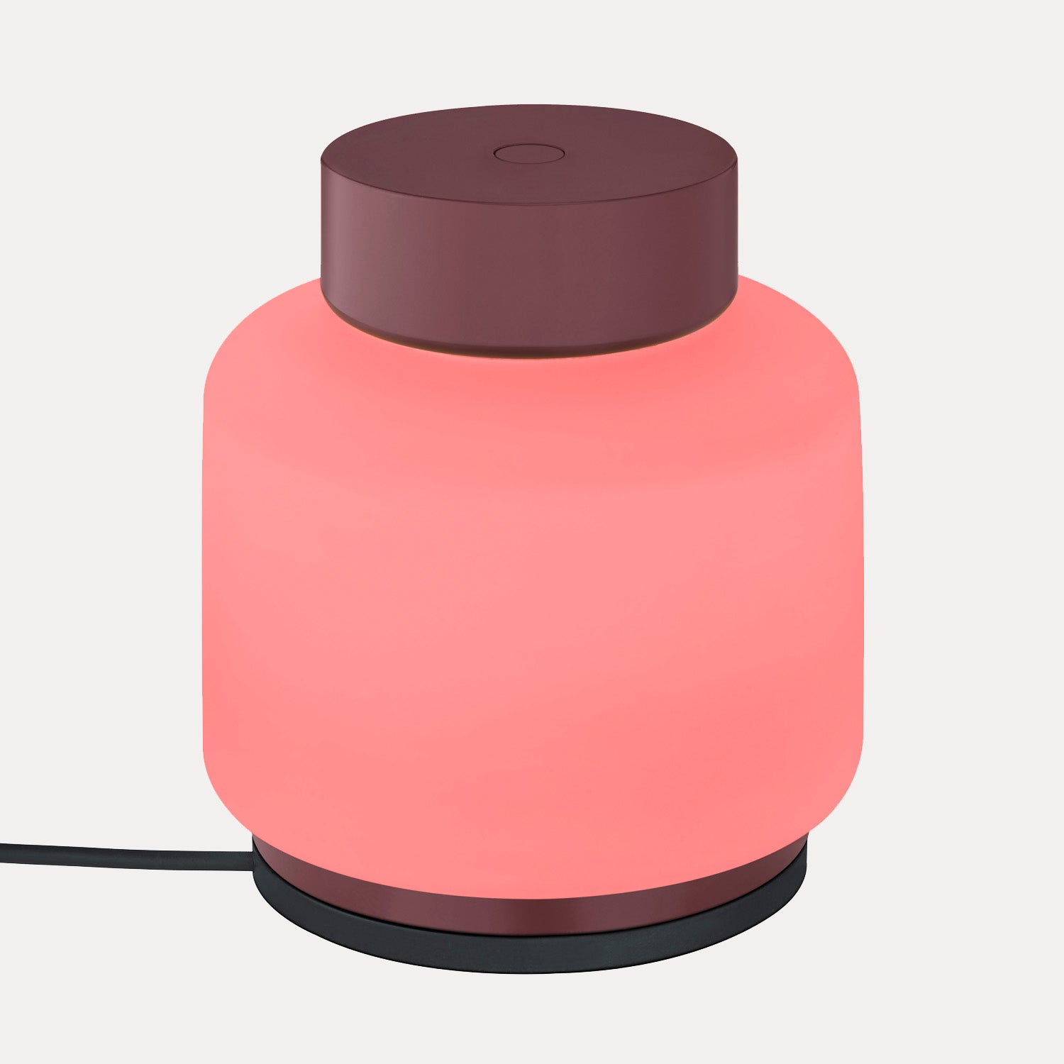 LED-Gartenlaterne FAWN indoor & outdoor - port