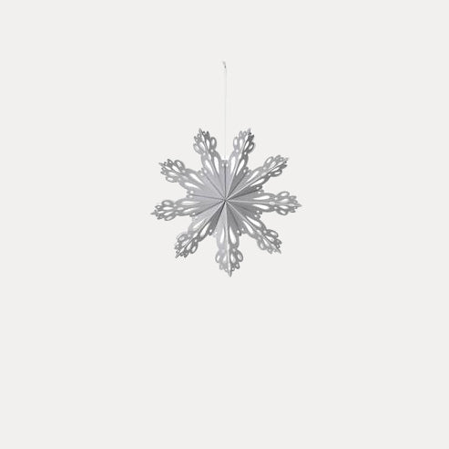 Weihnachtsstern Snowflake - silber