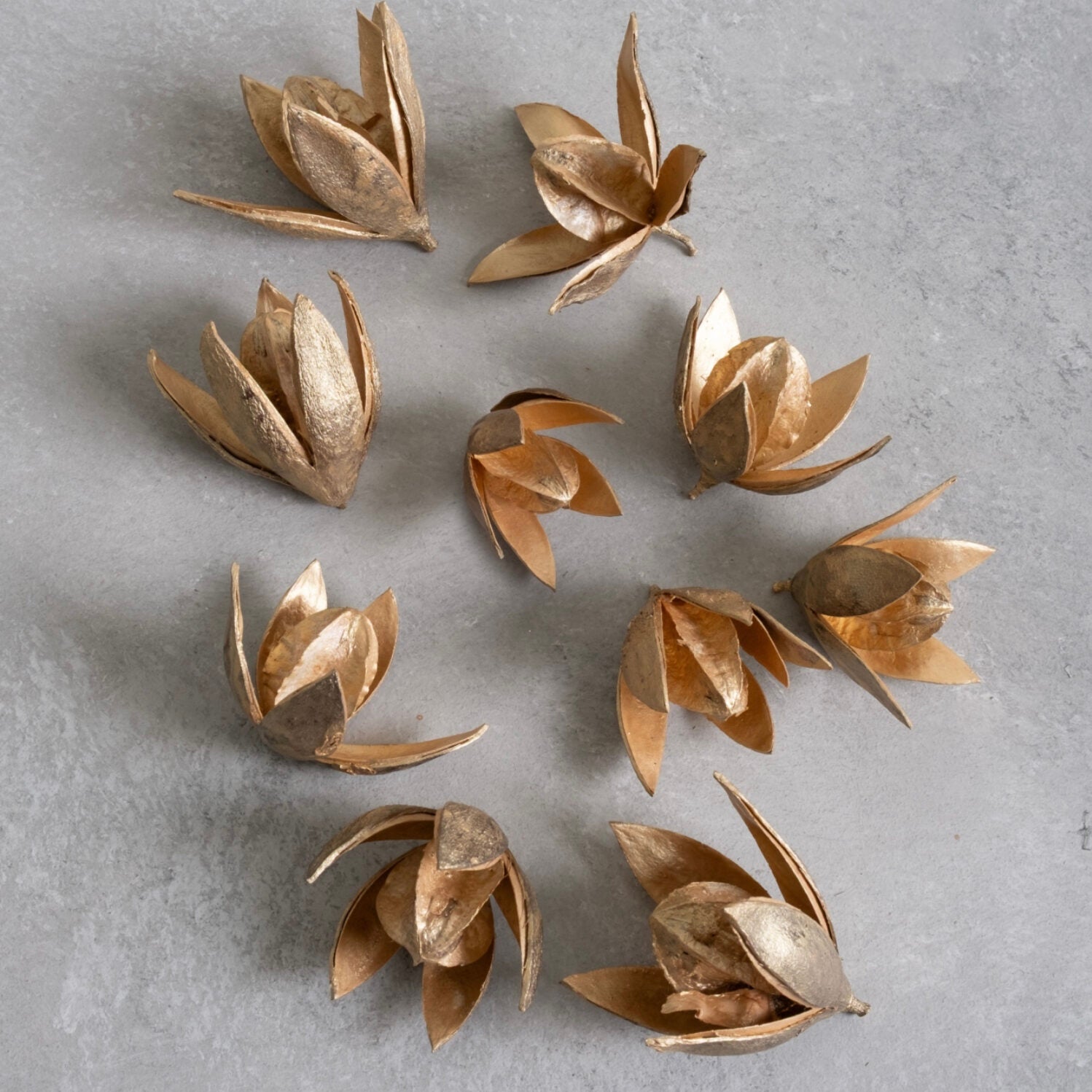 Wild Lily Blüten - light gold