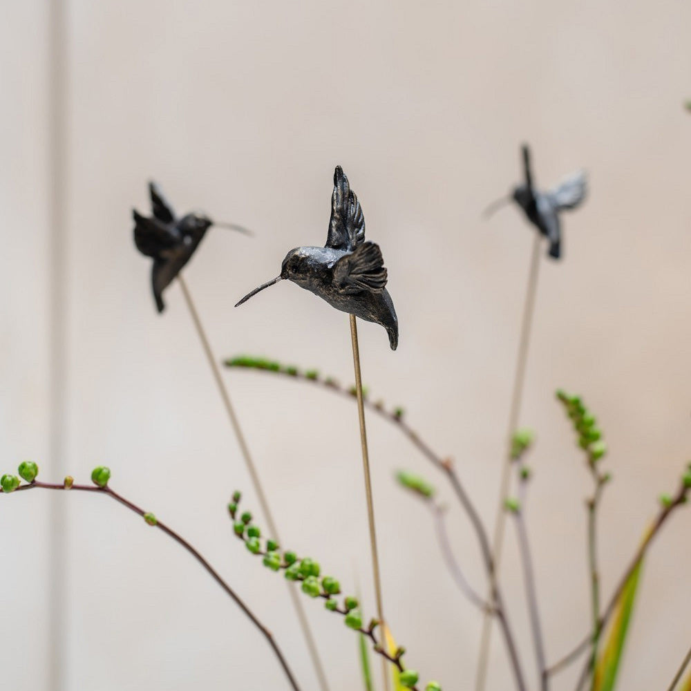 Stecker + Kolibri 3er Set - bronze schwarz