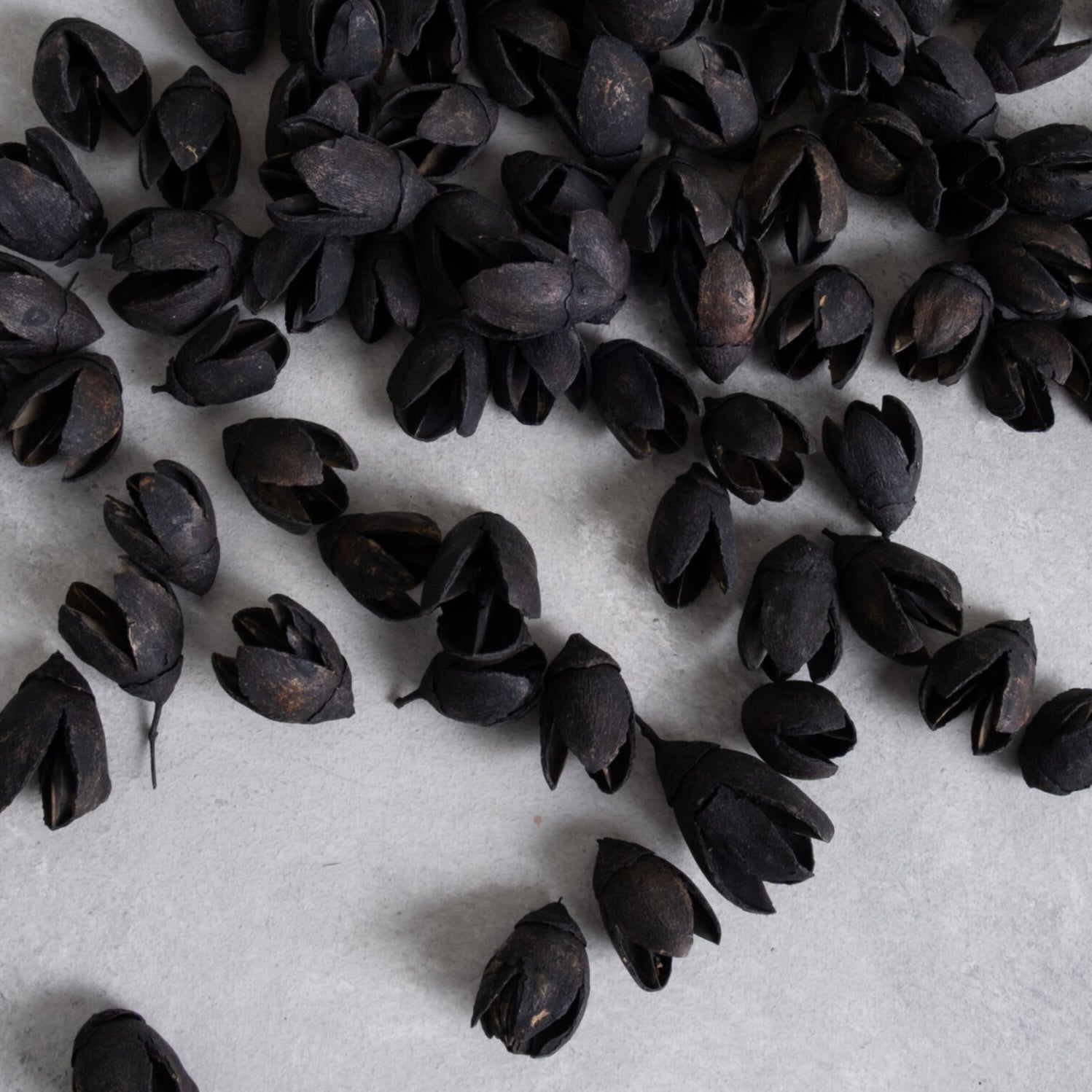 Bakuli pods - schwarz