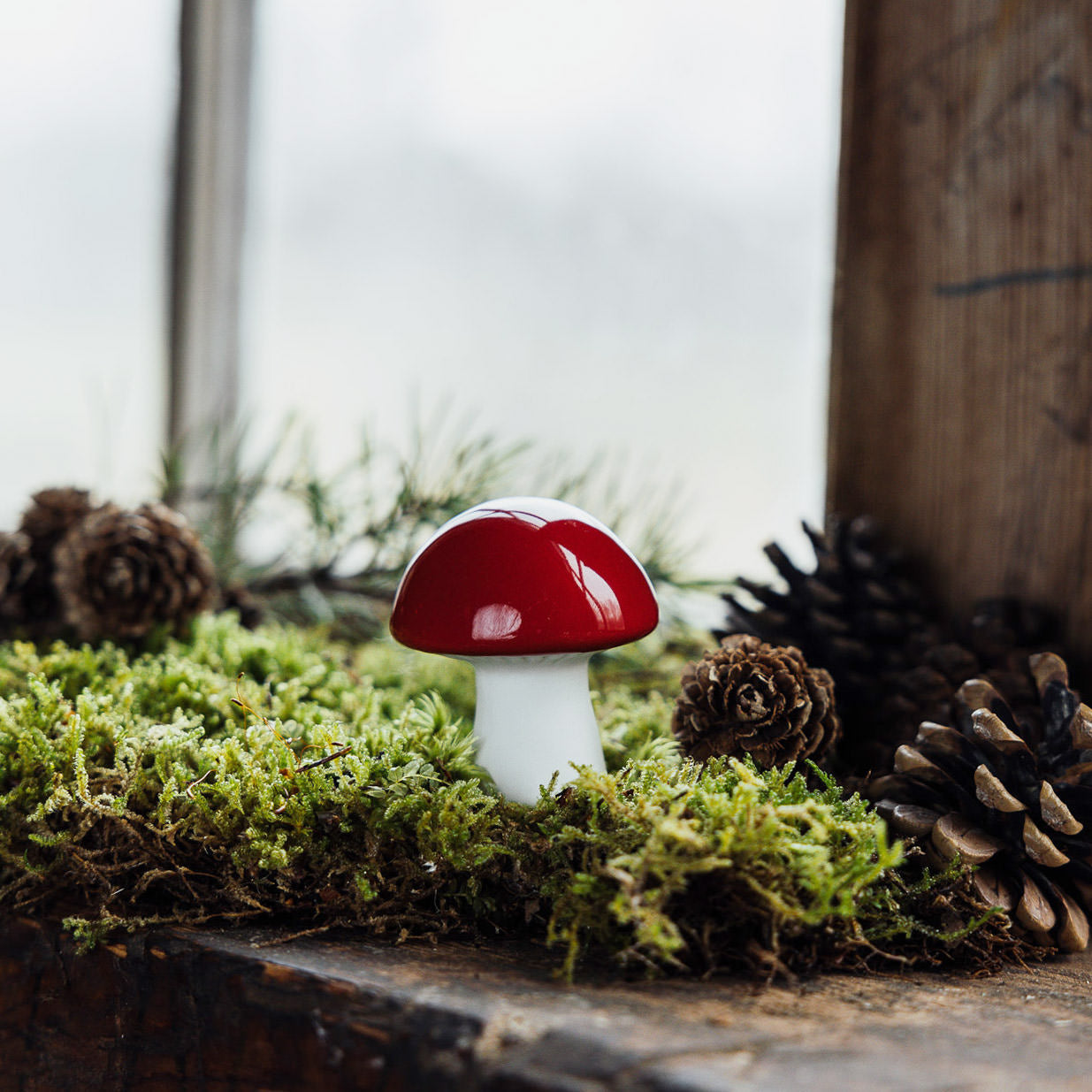 Pilz Bovik - rot