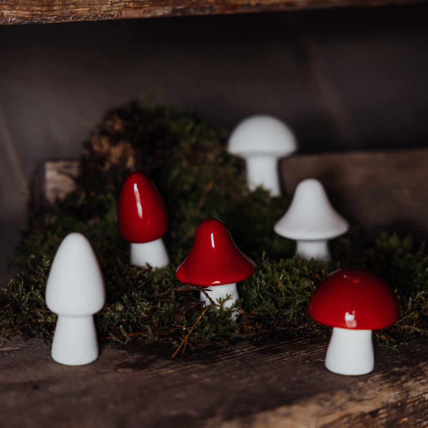 Pilz Bovik - rot