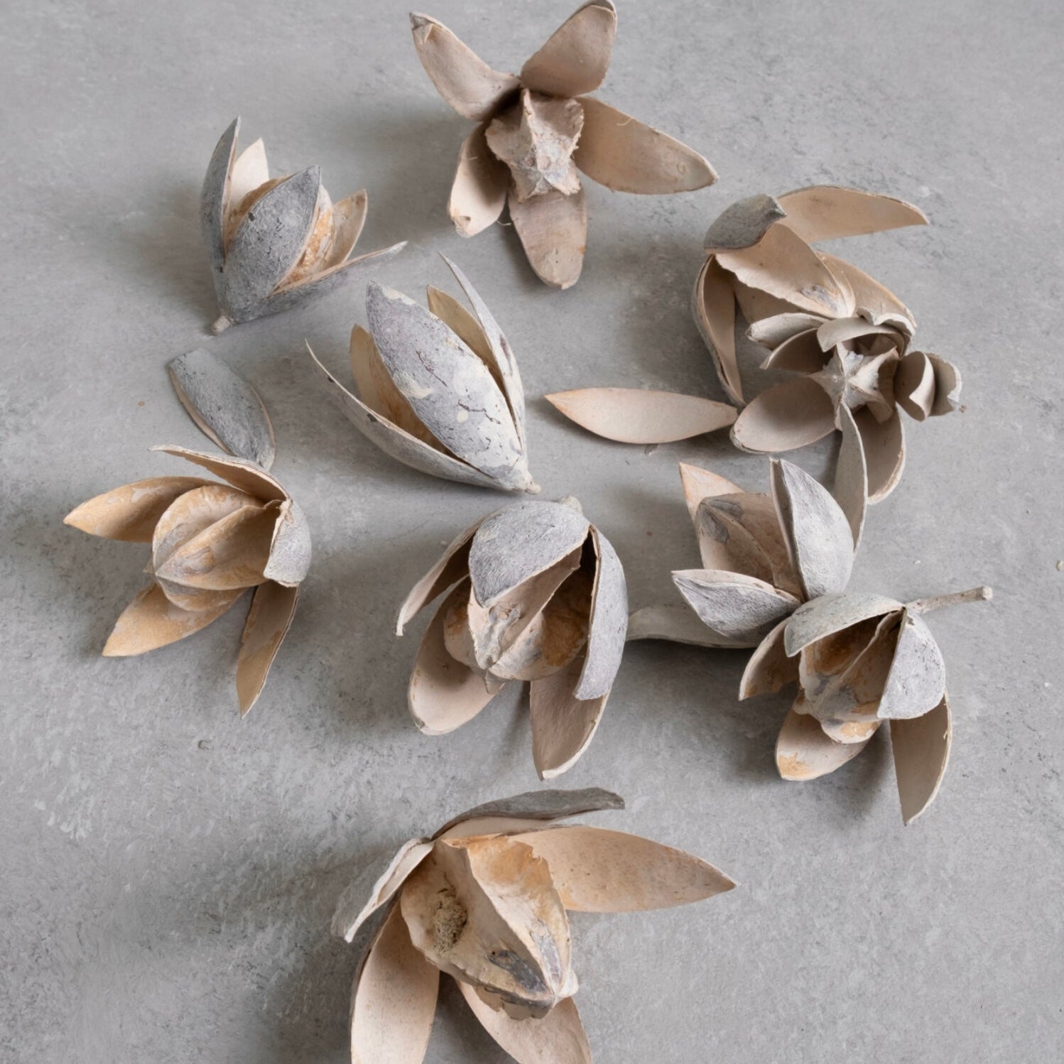 Wild Lily Blüten - sandstone