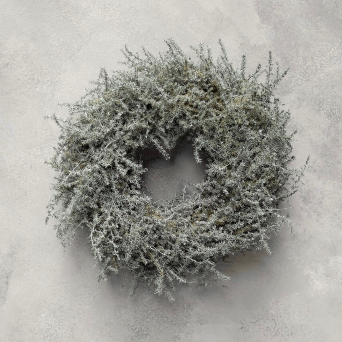 Kranz Asparagus - grey