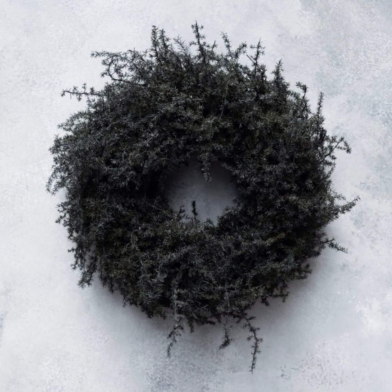 Kranz Asparagus - schwarz