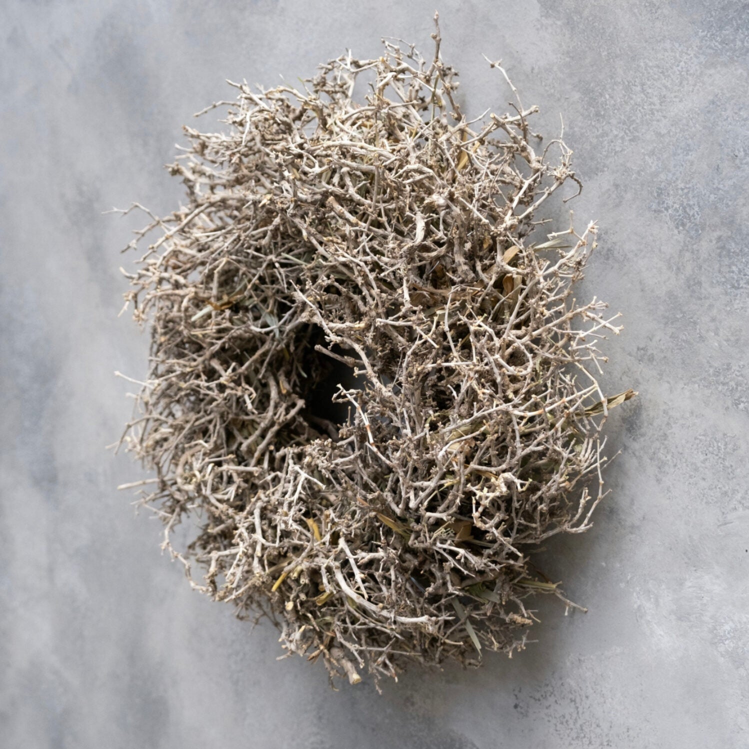 Kranz Desert Bush - natur