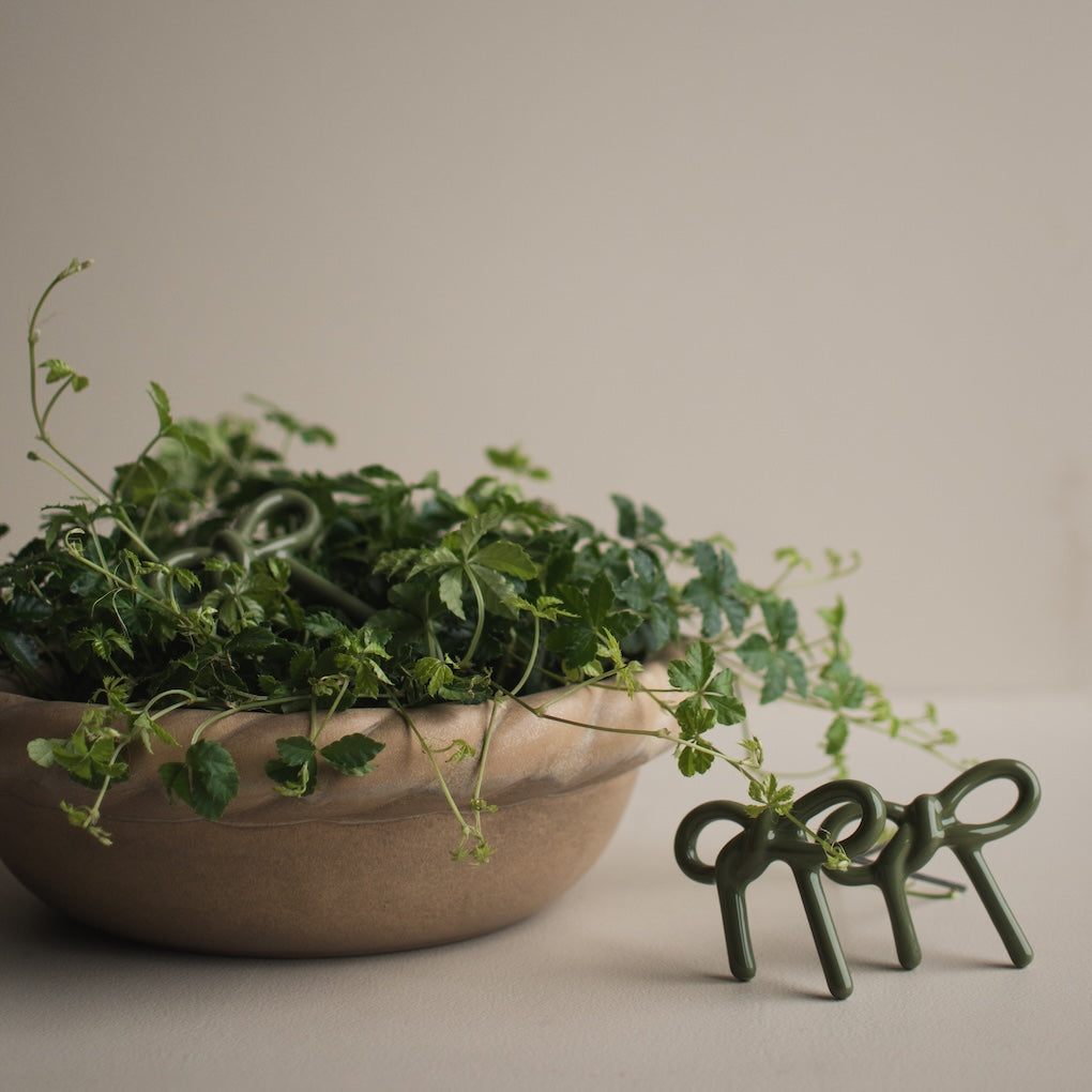 Blumendeko Bow - shiny green