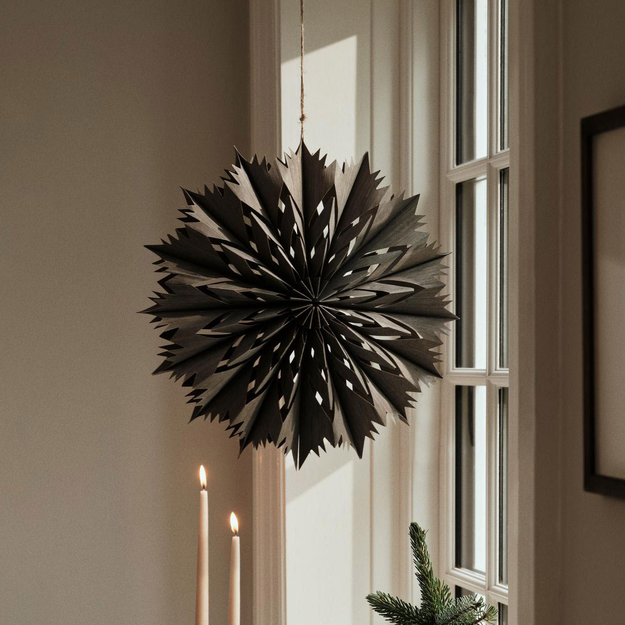 Weihnachtsstern Venja - fungi grey