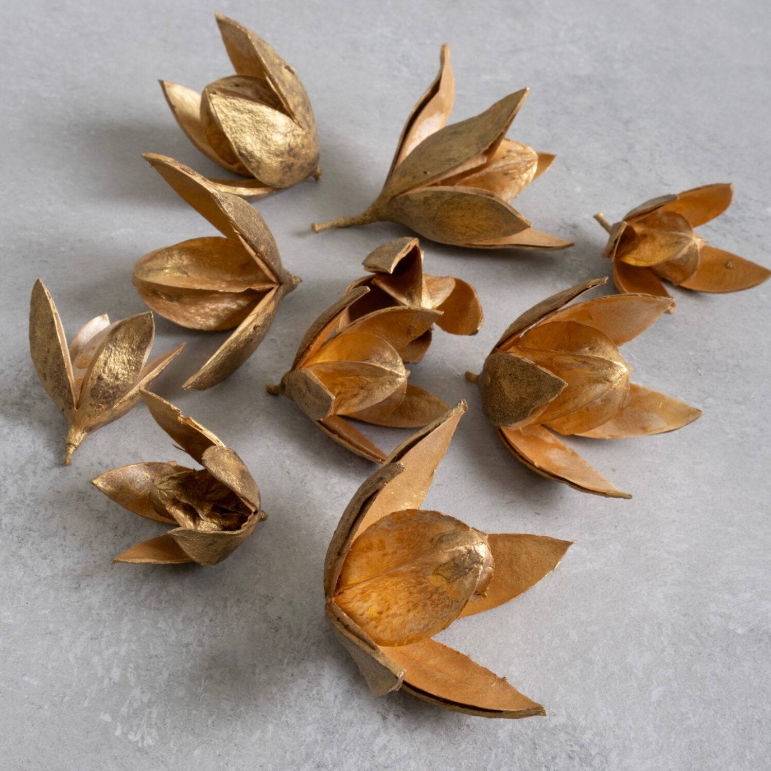 Wild Lily Blüten - gold